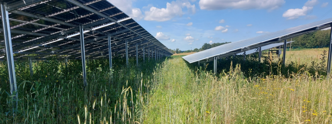 65 Megawatt project 36